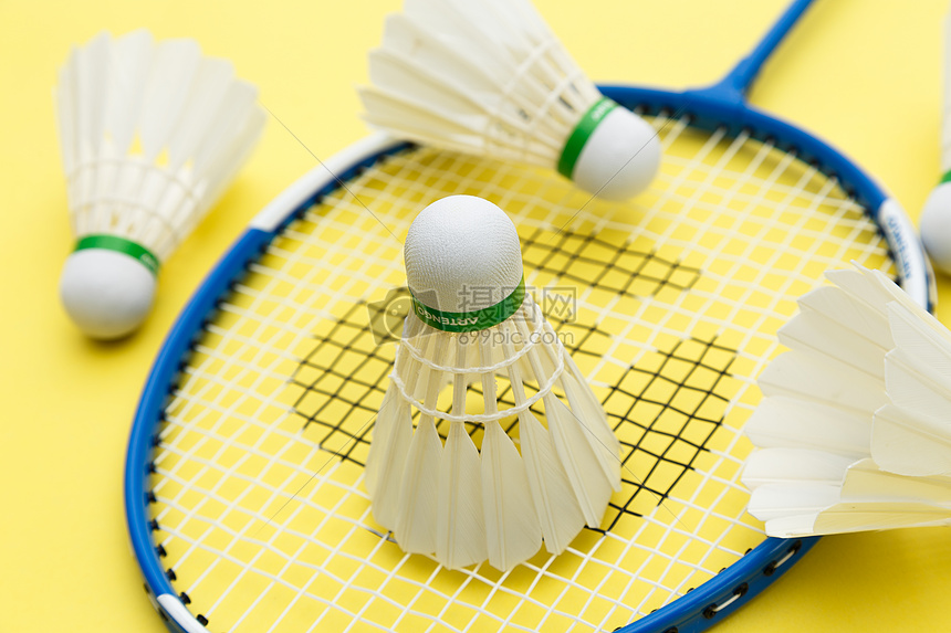 海港替补登 海港替补登