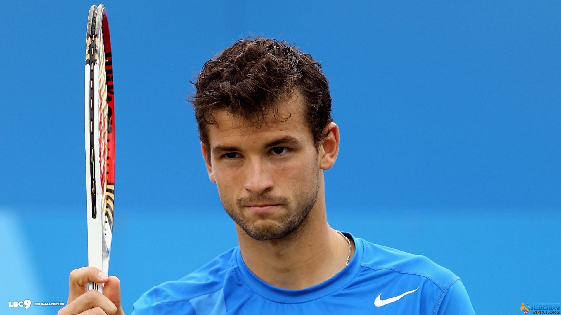 雄鹿选择放 雄鹿选择放