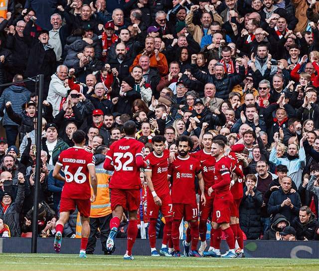 高内容的权 高内容的权