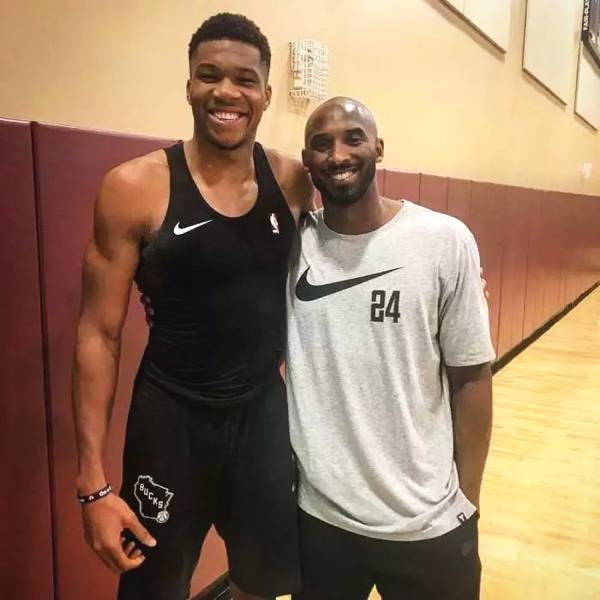 弥补经济 弥补经济