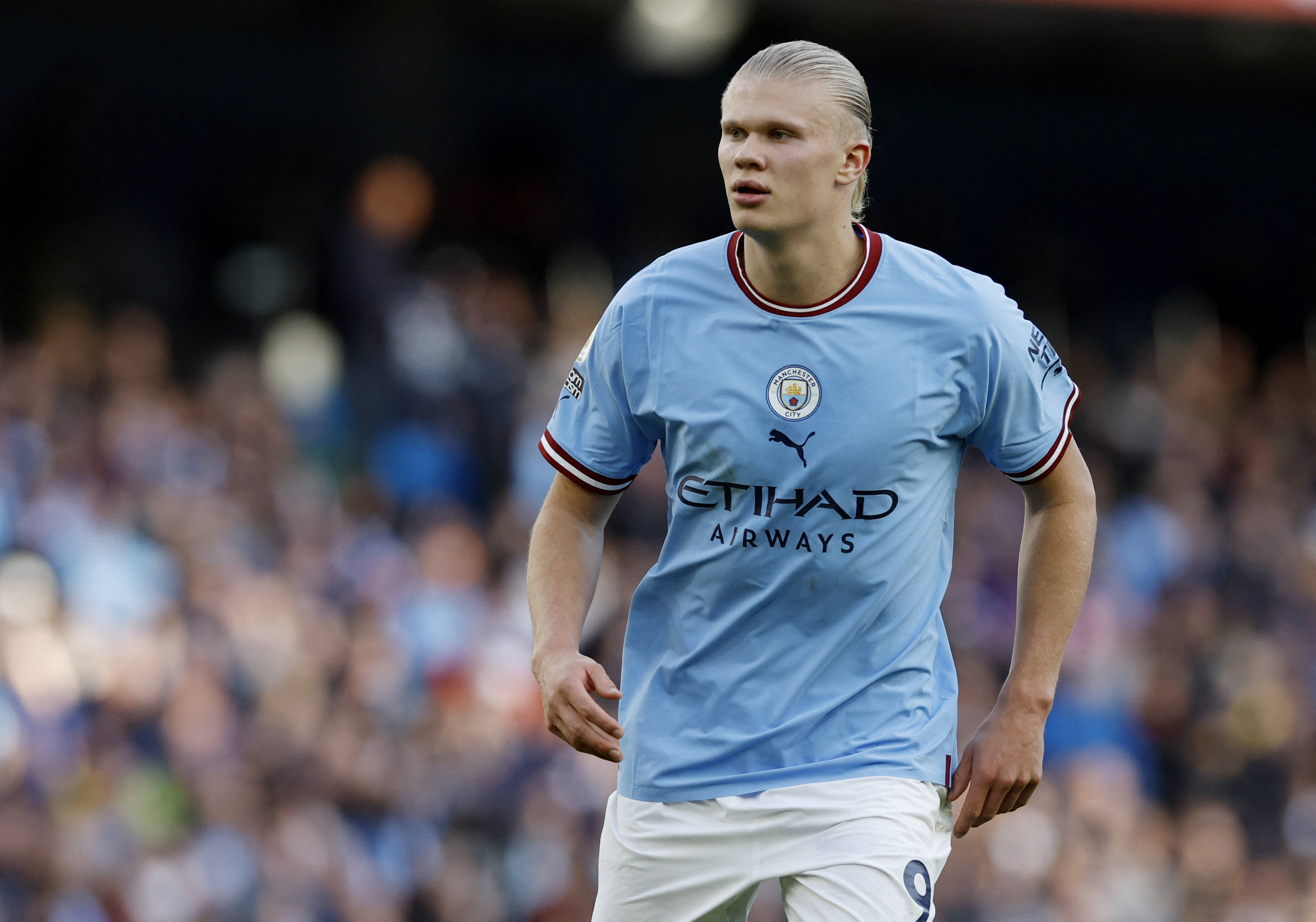 野区入侵 野区入侵