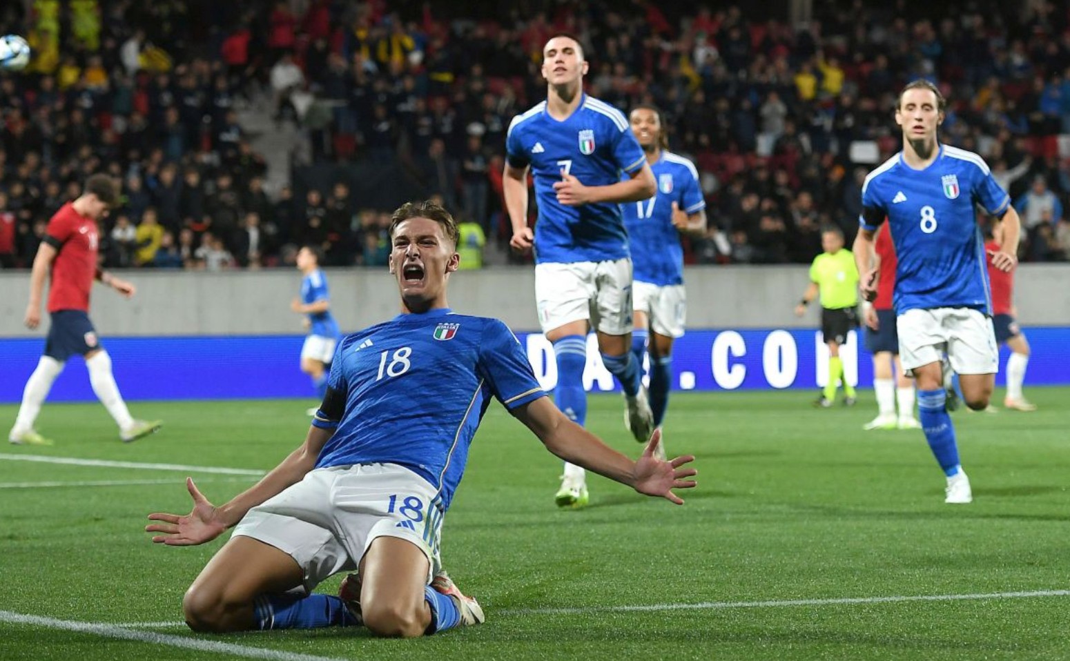 版本适配率 版本适配率